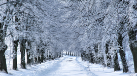 Timeline: US History Timeline 2018