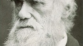 Timeline: Pioneros de la microbiologia