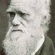 Charles darwin