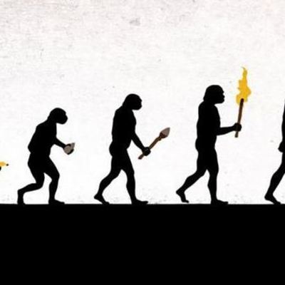 Timeline: HUMAN EVOLUTION