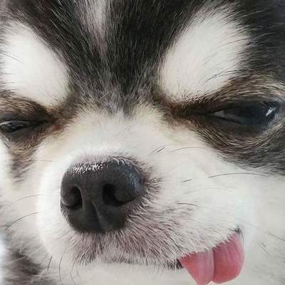 Timeline: El origen y evolución de las TIC´S JOHANN MITCHELLE