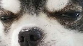 Timeline: El origen y evolución de las TIC´S JOHANN MITCHELLE