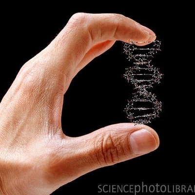 Timeline: Historia de la genética