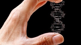 Timeline: Historia de la genética