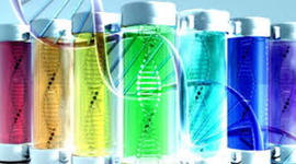 Timeline: Historia de la Genética