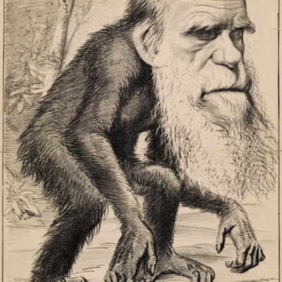 Timeline: Charles Darwin
