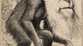 Timeline: Charles Darwin