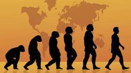 Timeline: Xavier Cantero Clemente.La evolución