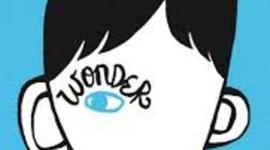 Timeline: WONDER