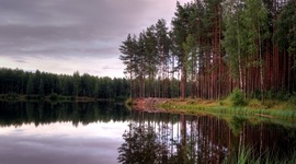 Timeline: История развития стандартизации