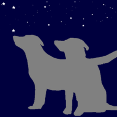 Timeline: Животные в космосе