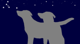 Timeline: Животные в космосе