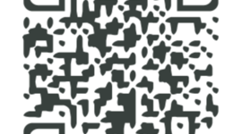 Timeline: Curriculum vitae