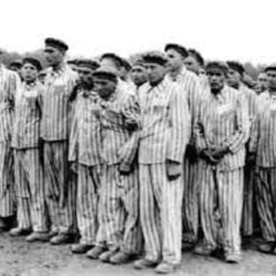 Timeline: The Holocaust - Susan Xu