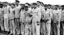 Timeline: The Holocaust - Susan Xu