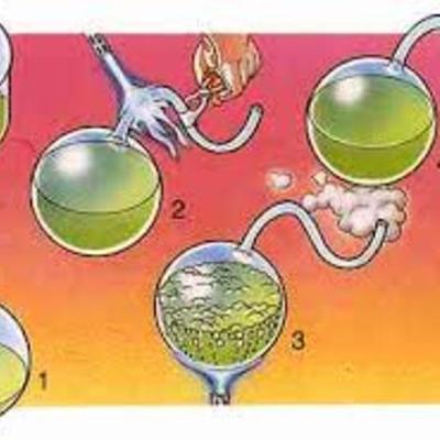 Timeline: Generación espontánea y la biogénesis