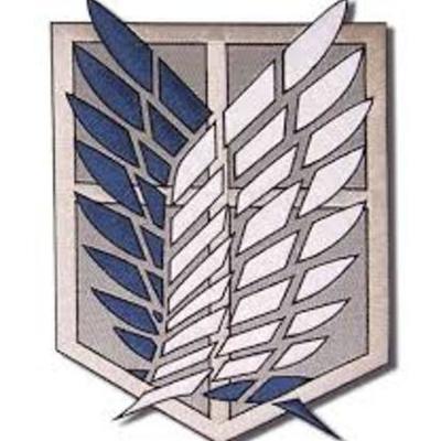 Timeline: Historia Redes