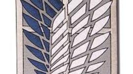 Timeline: Historia Redes