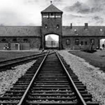 Timeline: Friso Cronológico - Holocausto