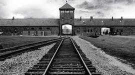 Timeline: Friso Cronológico - Holocausto