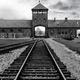 Auschwitz