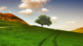 Timeline: Brayan Vasquez Ruiz