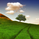 Beautiful life1