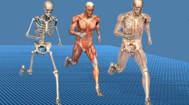 Timeline: evolución de la biomecánica