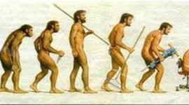 Timeline: Evolución de la administración