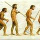 Evolucion