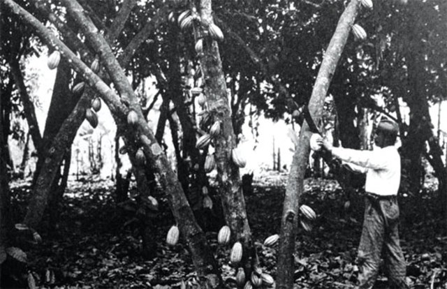 Historia Social Siglo Xx Timeline Timetoast Timelines