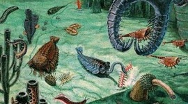 Timeline: Aparición de la vida en la Tierra