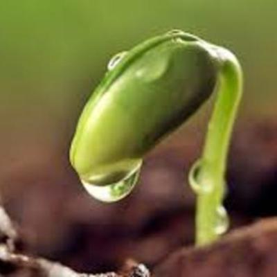 Timeline: APARICIÓN DE LA VIDA EN LA TIERRA