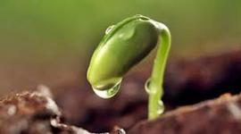 Timeline: APARICIÓN DE LA VIDA EN LA TIERRA