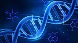 Timeline: Aparición de la vida