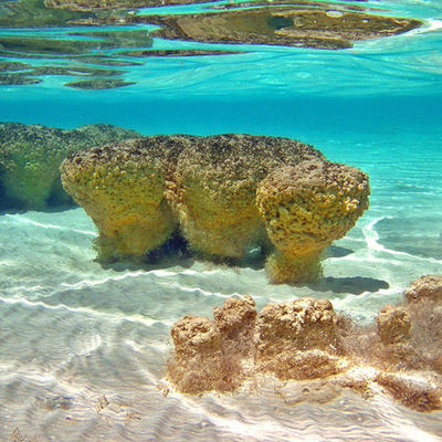 Timeline: creacion de la tierra