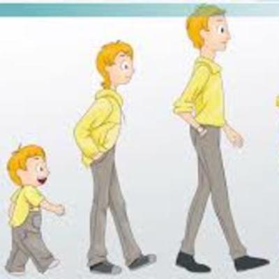 Timeline: Physical Development Milestones