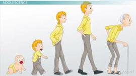 Timeline: Physical Development Milestones