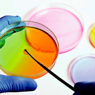 Timeline: Avances de la Microbiología