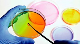 Timeline: Avances de la Microbiología