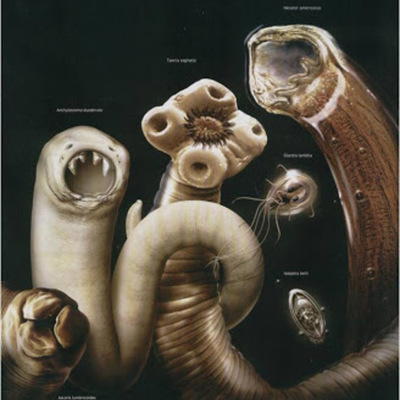 Timeline: Historia de la parasitología