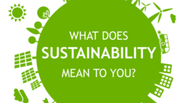 Timeline: Origen al Concepto de Desarrollo Sustentable