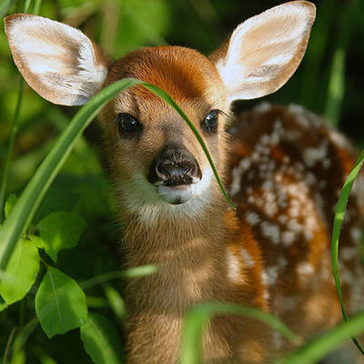 Timeline: GayRChurchHistory