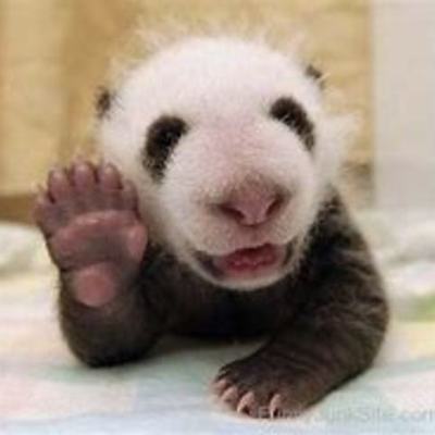 Timeline: CombsKChurchHistory