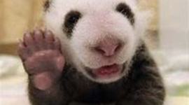 Timeline: CombsKChurchHistory