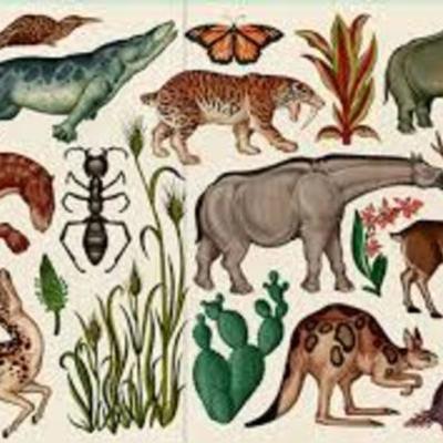 Timeline: Origen de la vida