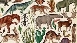 Timeline: Origen de la vida