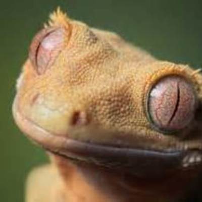 Timeline: ErvinTChurchHistory