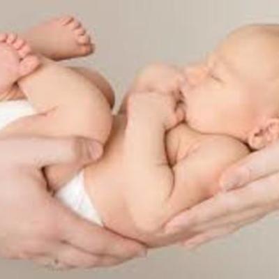 Timeline: Human Development Week by Week Pregnancy