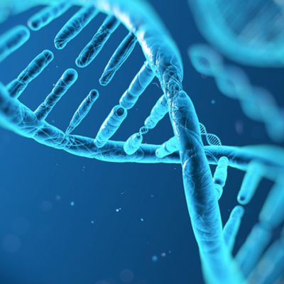 Timeline: ADN y sus científicos